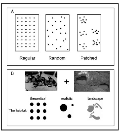 Distribution Patterns Explained