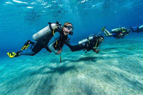 dive master leading divers