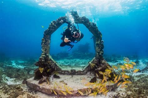 dive operator on Isla Mujeres