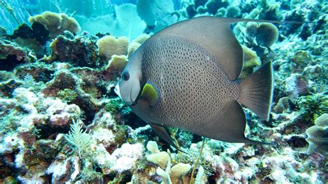 Dive Shops Spokane Wa