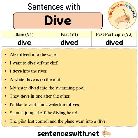 Dive With Example Sentences
