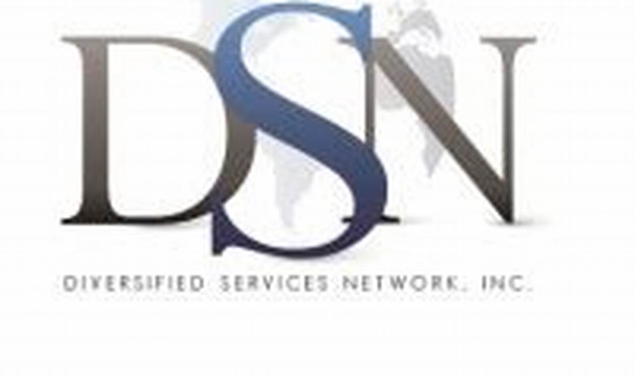 diversified services network inc