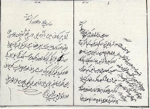 diversity meaning in urdu with example essay