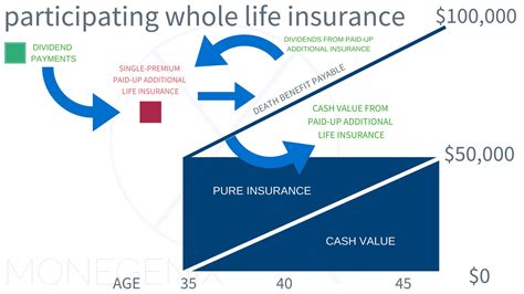 dividend paying whole life insurance policies