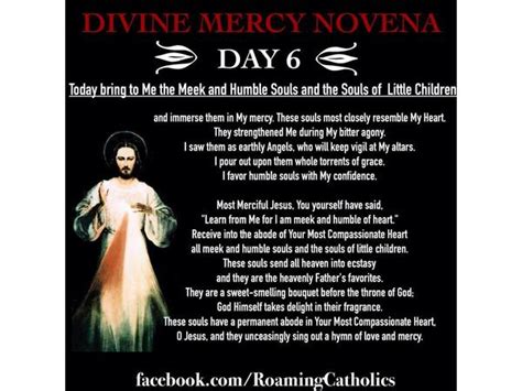 divine mercy novena day 6