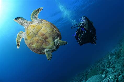 diving center