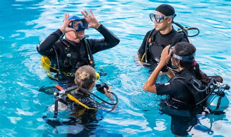 Diving Courses Cape Town Prices