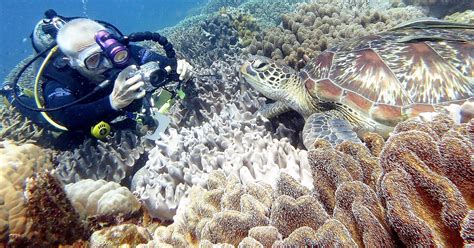 diving experience Daymaniyat Islands