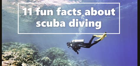 diving facts