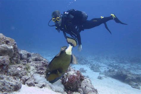diving in Belle Mare Mauritius
