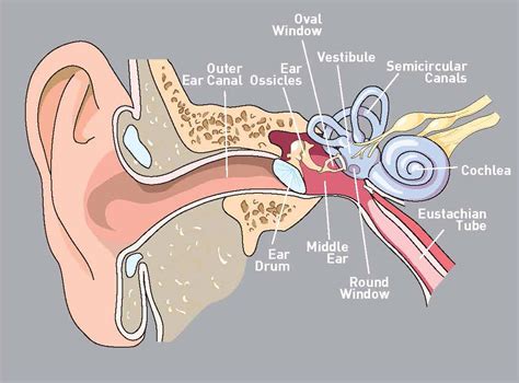 Diving Pressure Ears
