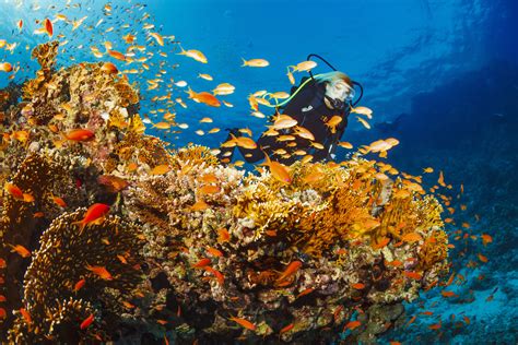 diving sites Antalya