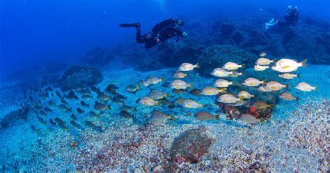 diving sites Radazul Bay