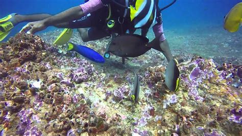 Diving Sri Lanka June
