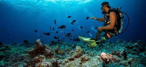diving tour operator