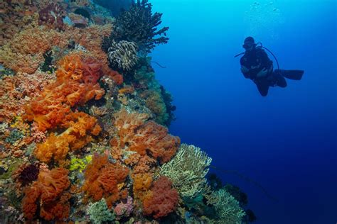 Diving Trips From Singapore