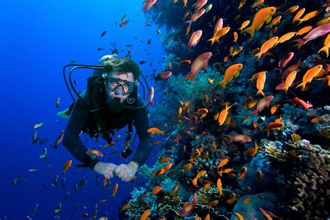 Diving di Wisata Bahari