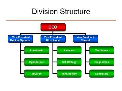 divisional organisation structure definition