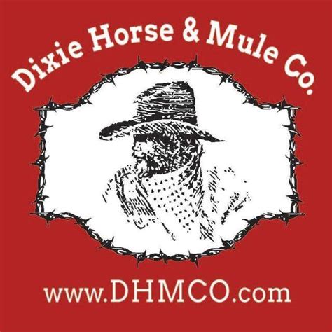 dixie horse and mule company alabama