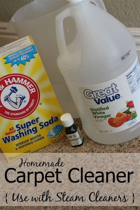 List Of Diy Carpet Cleaning Solution For Pet Urine 2023
