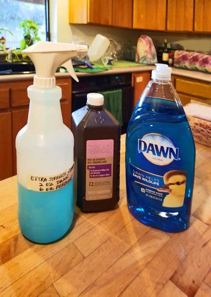 New Diy Carpet Cleaning Solution With Oxiclean For Small Space
