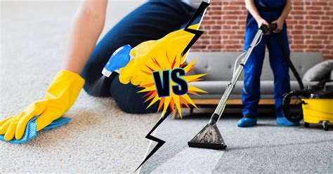 New Diy Carpet Cleaning Vs Professional With Low Budget