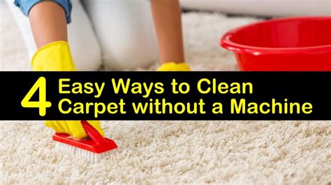 This Diy Carpet Cleaning Without A Machine With Low Budget