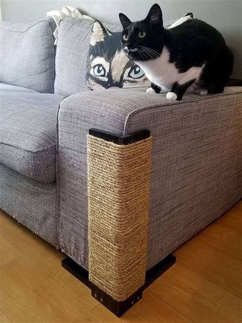 Incredible Diy Cat Scratcher For Couch Corner With Low Budget
