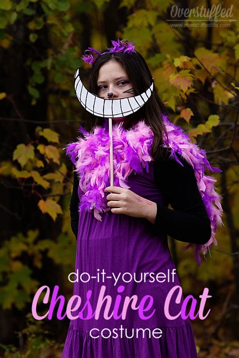 Diy Cheshire Cat Costume Ideas