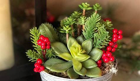 DIY TUTORIAL Succulent Holiday Ornaments! Diy christmas decorations