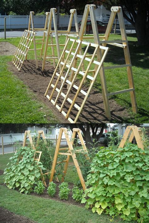 DIY Cucumber Trellis made from a Pallet Cucumber trellis, Pallets