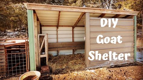 DIY Goat Shelter Easy Way Using Wood Pallet All Pet Care