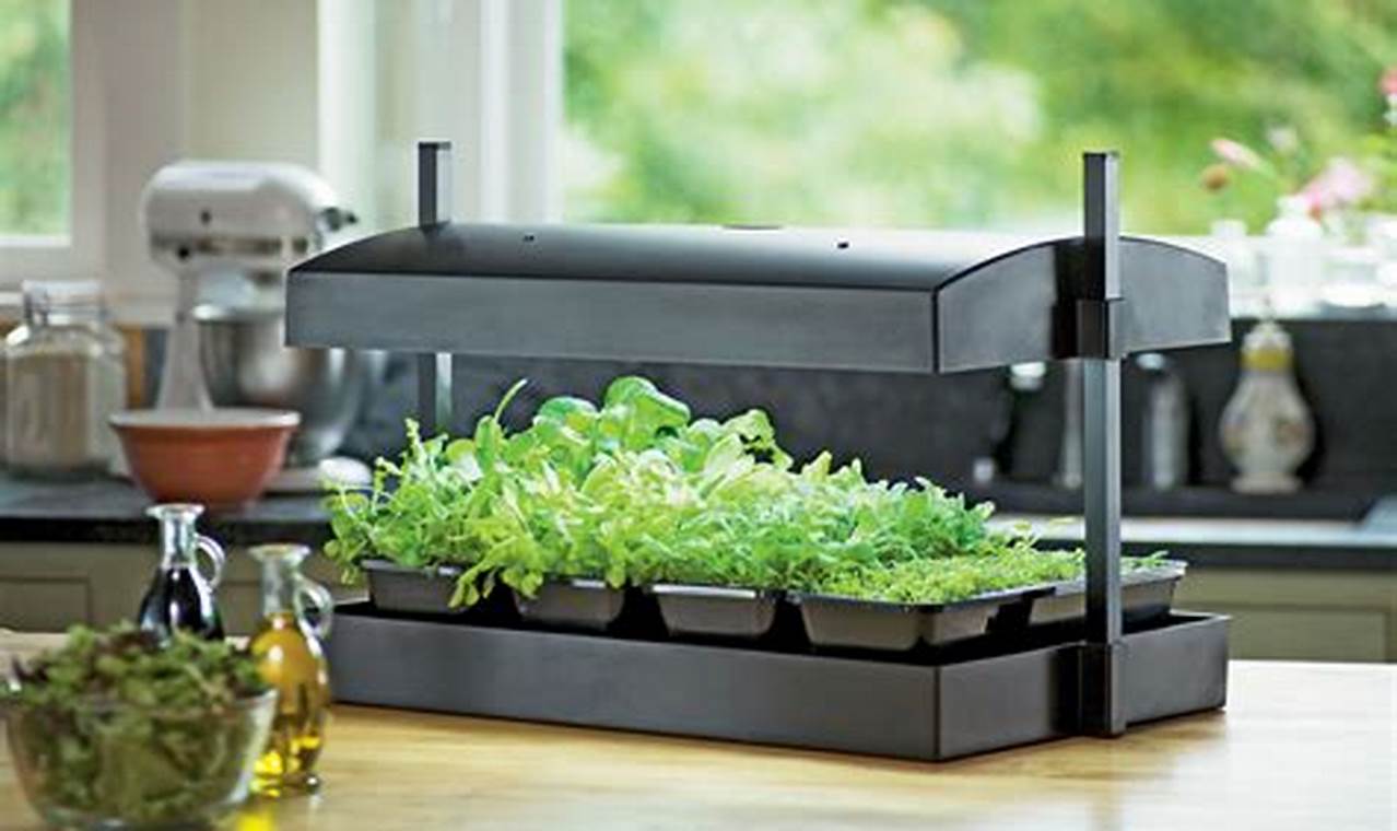 Unveiling Secrets: The Ultimate Guide to DIY Indoor Herb Gardens with Grow Lights