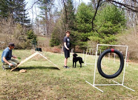 34 Simple DIY Playground Ideas For Dogs Dog playground, Dog agility