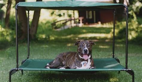 Diy Outdoor Dog Bed With Canopy Outside