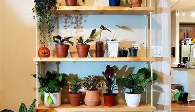 Diy Plant Shelf Indoor