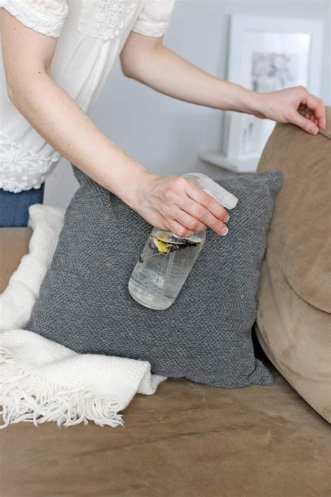 This Diy Sofa Cleaning For Small Space