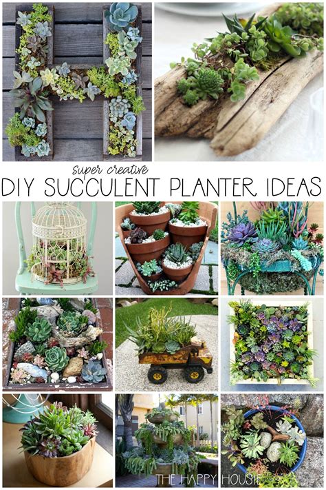 29 DIY Succulent Planter Ideas Creative Ways to Display Succulents