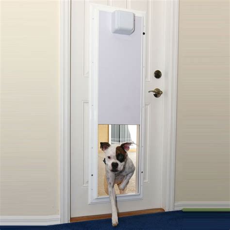diy automatic dog door opener