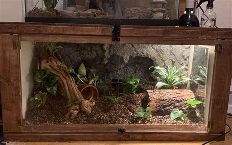 Diy Ball Python Enclosure