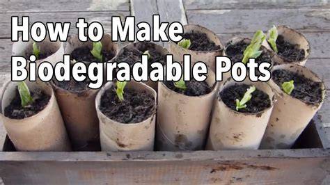 Biodegradable Pots Biodegradable products, Plant pot diy, Garden compost