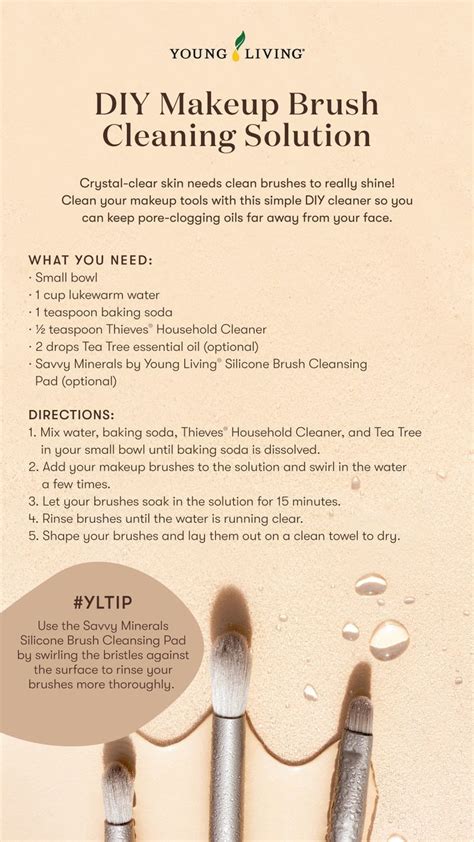 Diy Brush Cleaning Solution