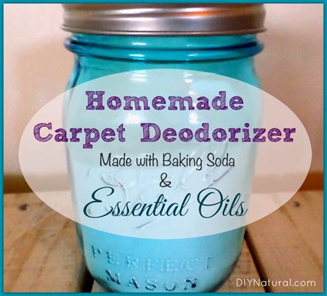 Diy Carpet Cleaner Deodorizer