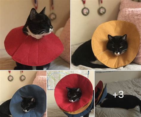Diy Cat Cone Collar