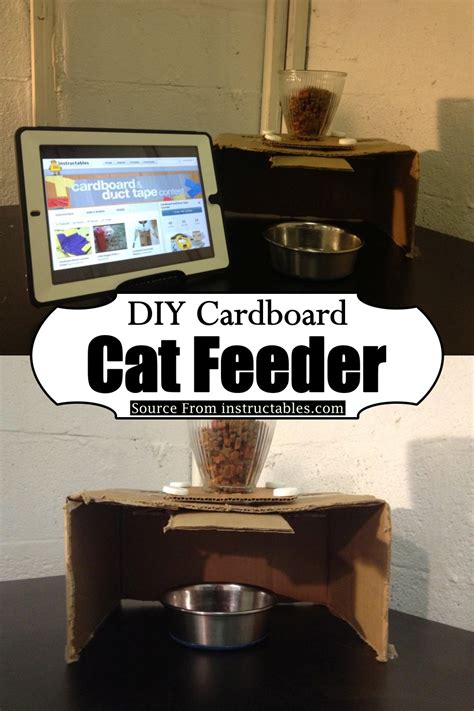 Diy Cat Feeder