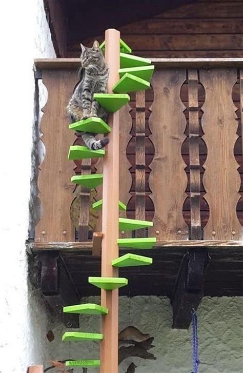 Discover 9 Insights diy cat ladders Unlock climbing joy for felines