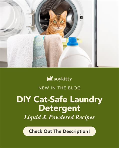 Diy Cat Safe Cleaner