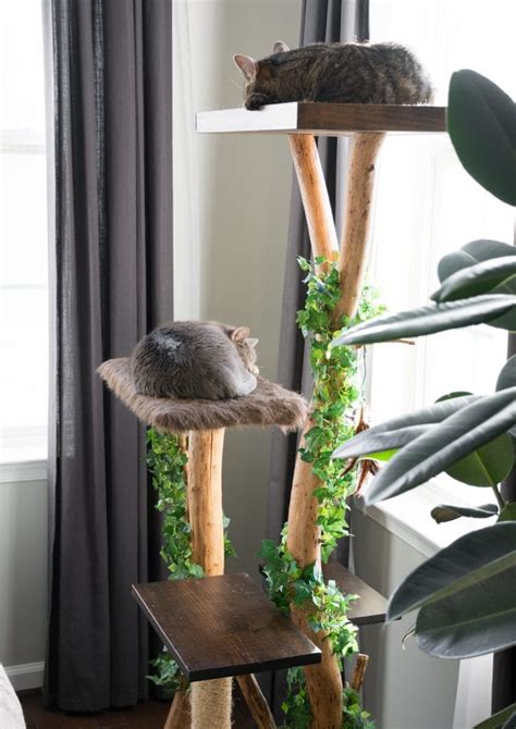 Diy Cat Tree Branches