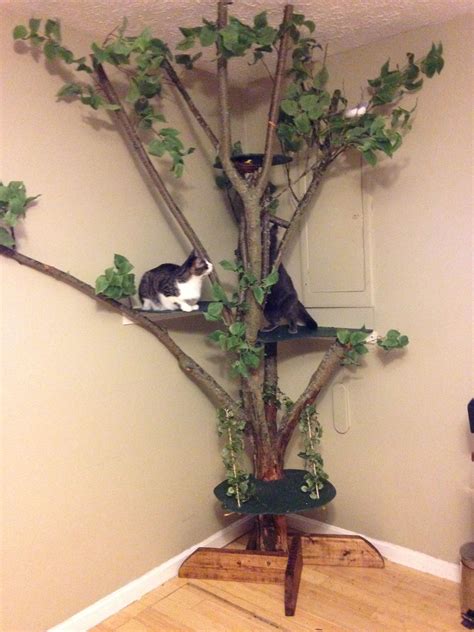 Diy Cat Tree With Real Branches