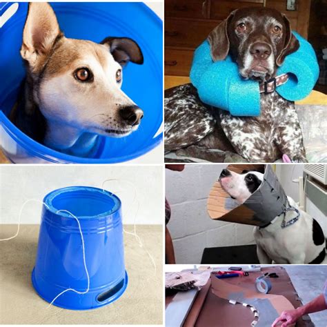 Diy Cone For A Dog